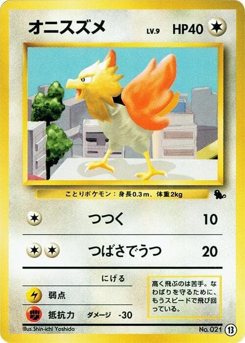 Spearow 13
