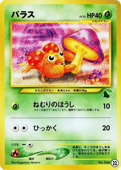 Paras 022