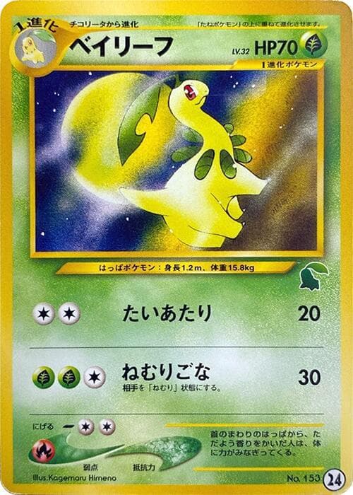 Bayleef 024
