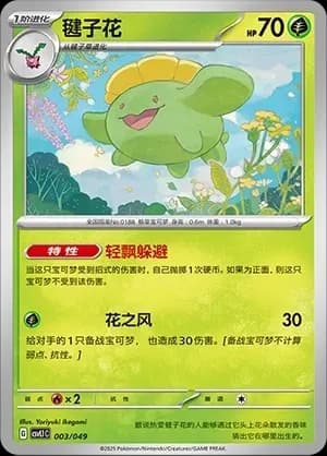 Skiploom 003