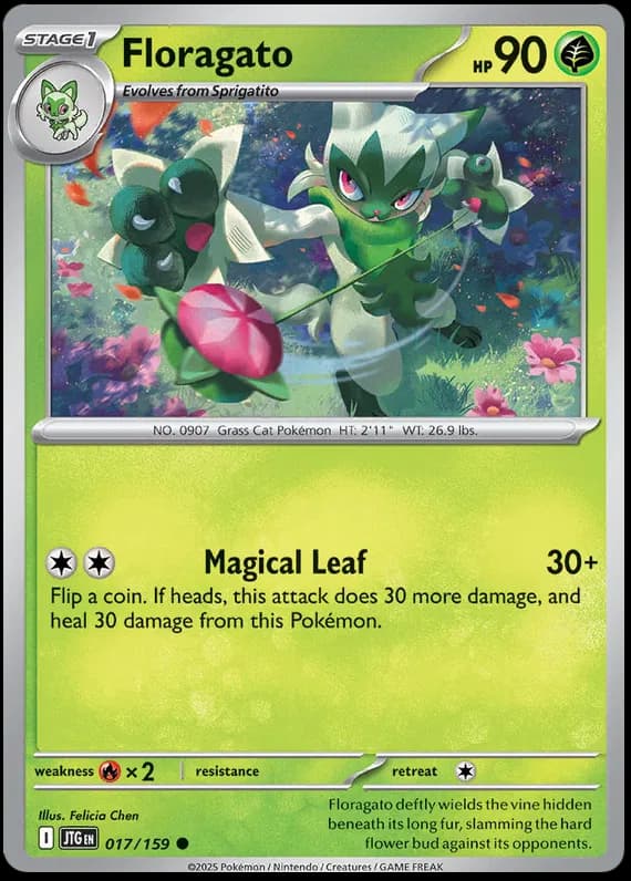 Floragato 017