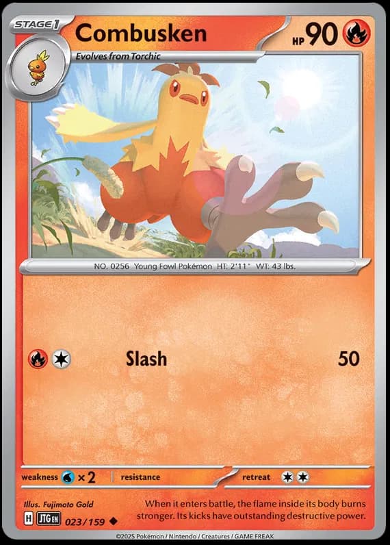 Combusken 023