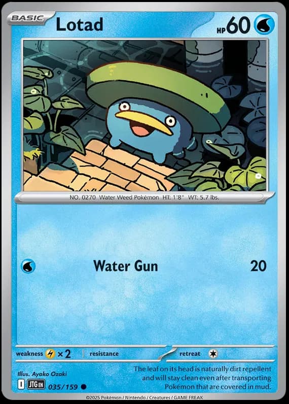 Lotad 035
