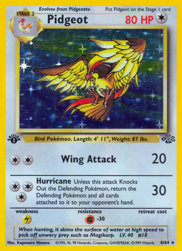 Pidgeot Holo 8