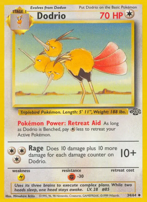 Dodrio 34