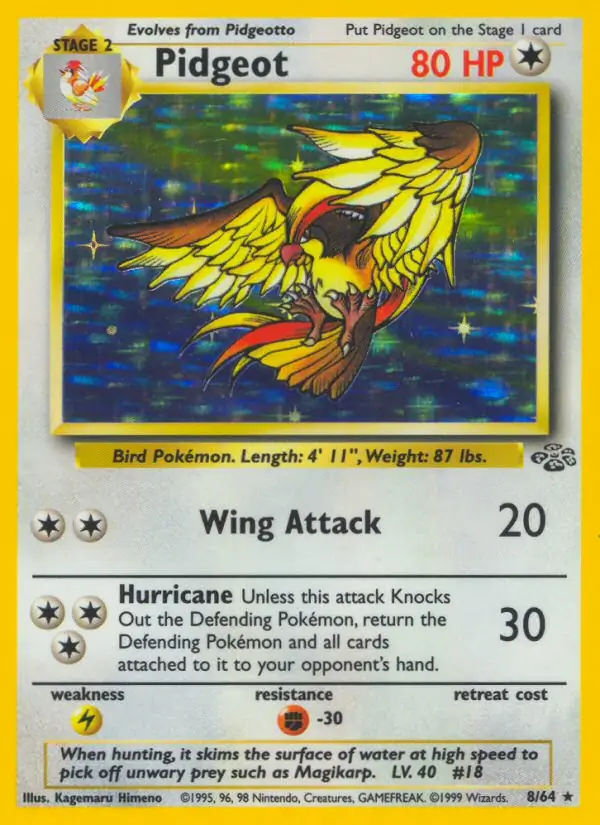 Pidgeot Holo 8 Normal