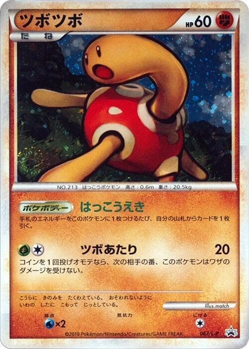 Shuckle 067 Normal