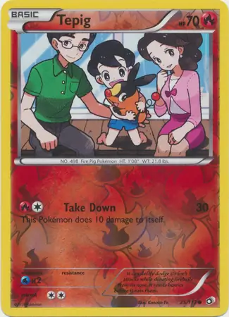 Tepig Reverse Holo 25