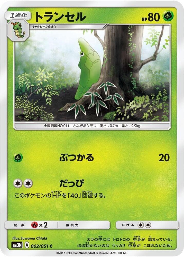 Metapod 002