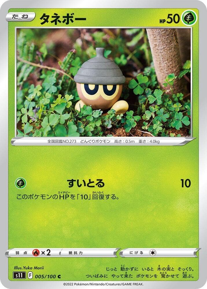 Seedot 005