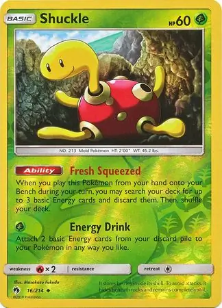 Shuckle Reverse Holo 16 Normal