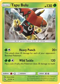 Tapu Bulu Holo 37 Normal