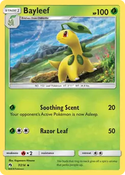Bayleef 7 Normal