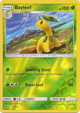 Bayleef Reverse Holo 7 Normal