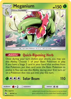 Meganium Holo 8 Normal