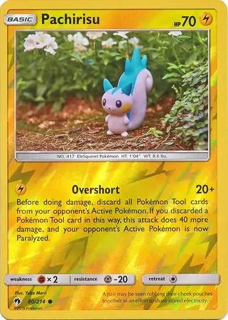 Pachirisu Reverse Holo 80 Normal