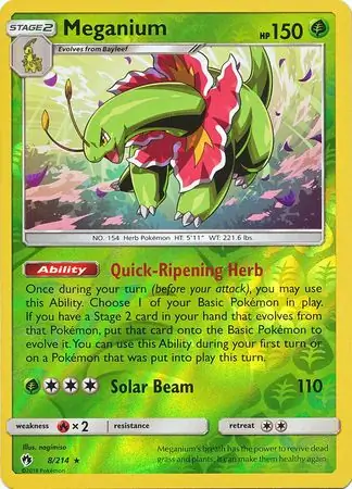 Meganium Reverse Holo 8 Normal