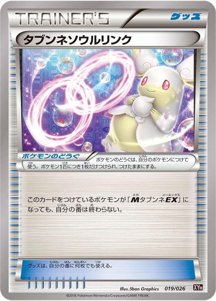 Audino Spirit Link 019