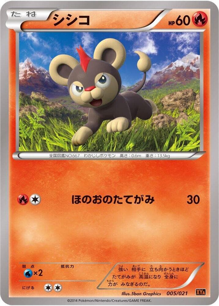 Litleo 005