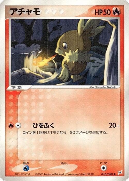 Torchic 016