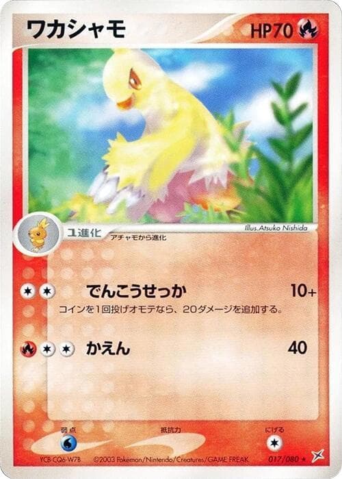 Combusken 017
