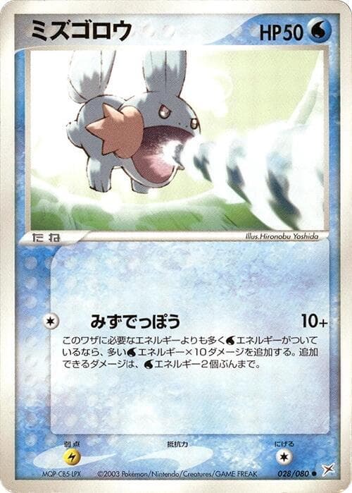 Mudkip 28
