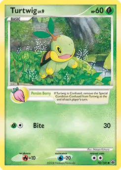 Turtwig 78