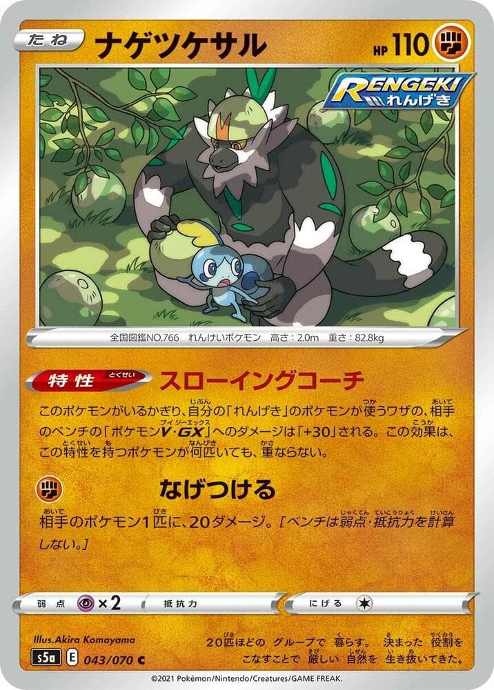 Passimian 043 Normal