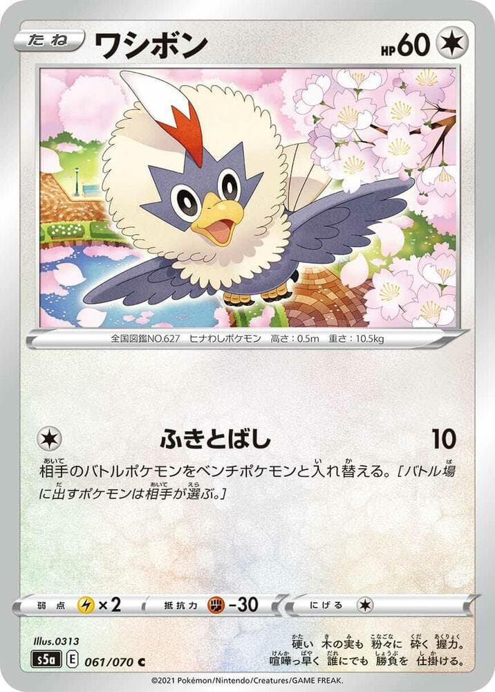 Rufflet 061 Normal