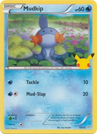 Mudkip 19