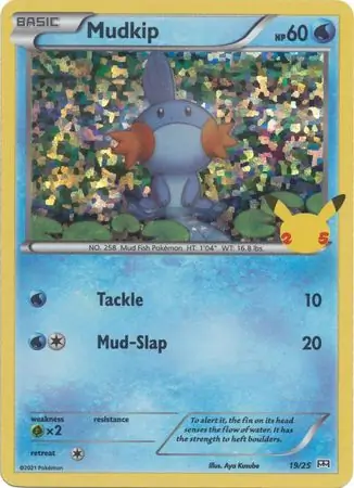 Mudkip Holo 19 Normal
