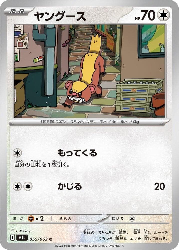 Yungoos 055 Normal