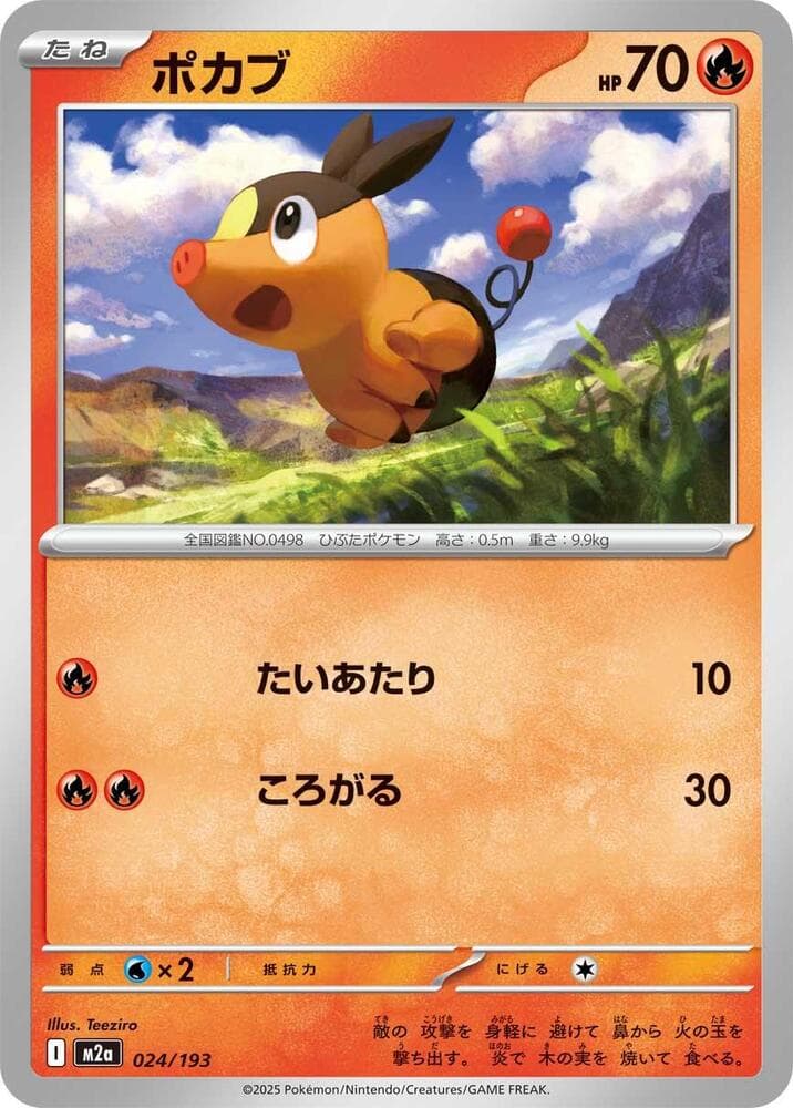 Tepig 024 Normal