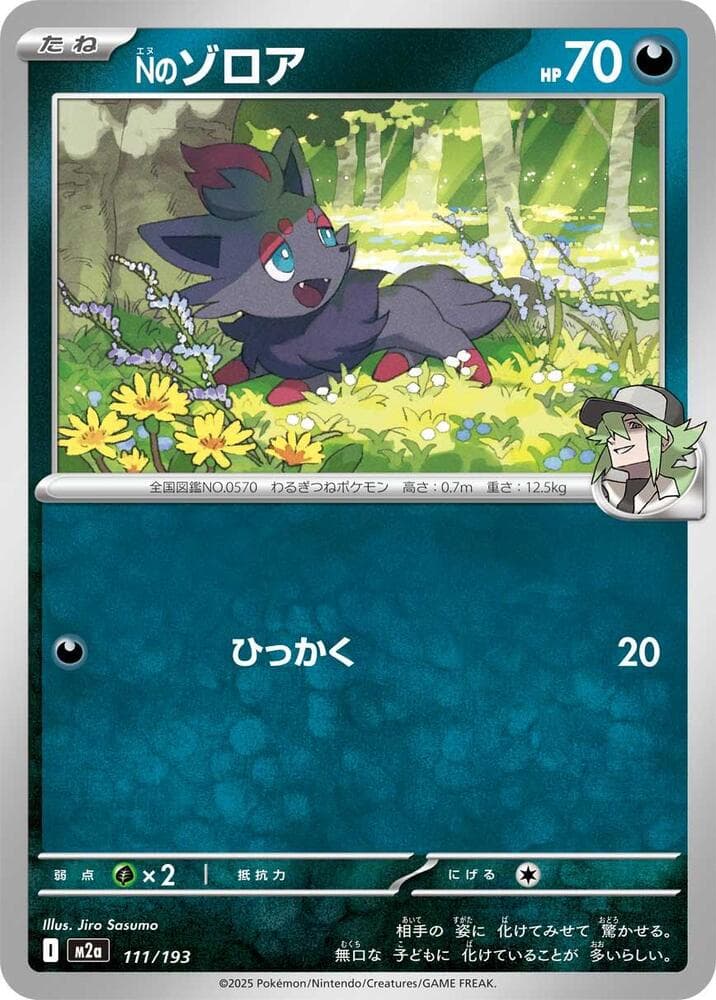 N's Zorua 111 Normal