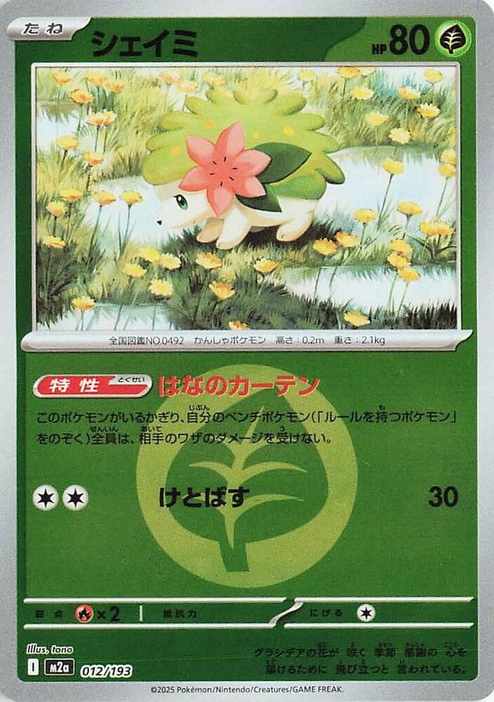 Shaymin Energy Symbol Pattern 12 Holo