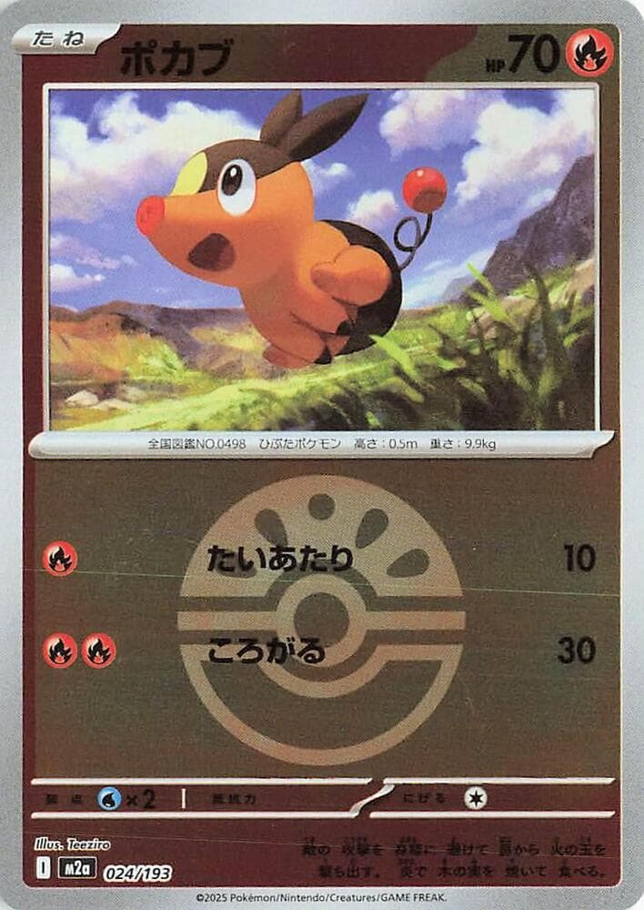 Tepig Friend Ball Pattern 24