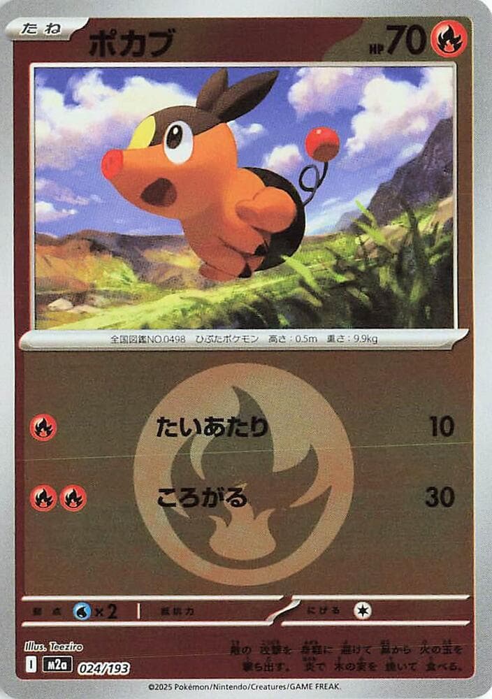 Tepig Energy Symbol Pattern 24 Holo