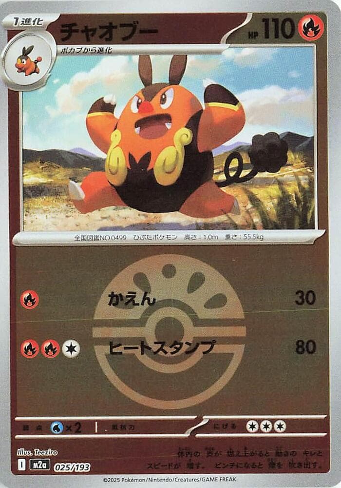 Pignite Friend Ball Pattern 25 Holo