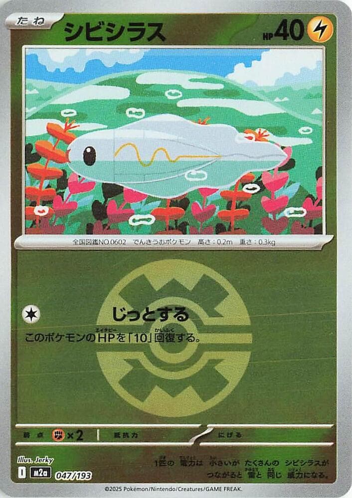 Tynamo Quick Ball Pattern 47 Holo