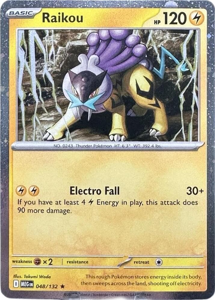 Raikou Cosmo Holo 48