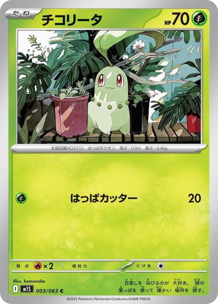 Chikorita 003 Normal