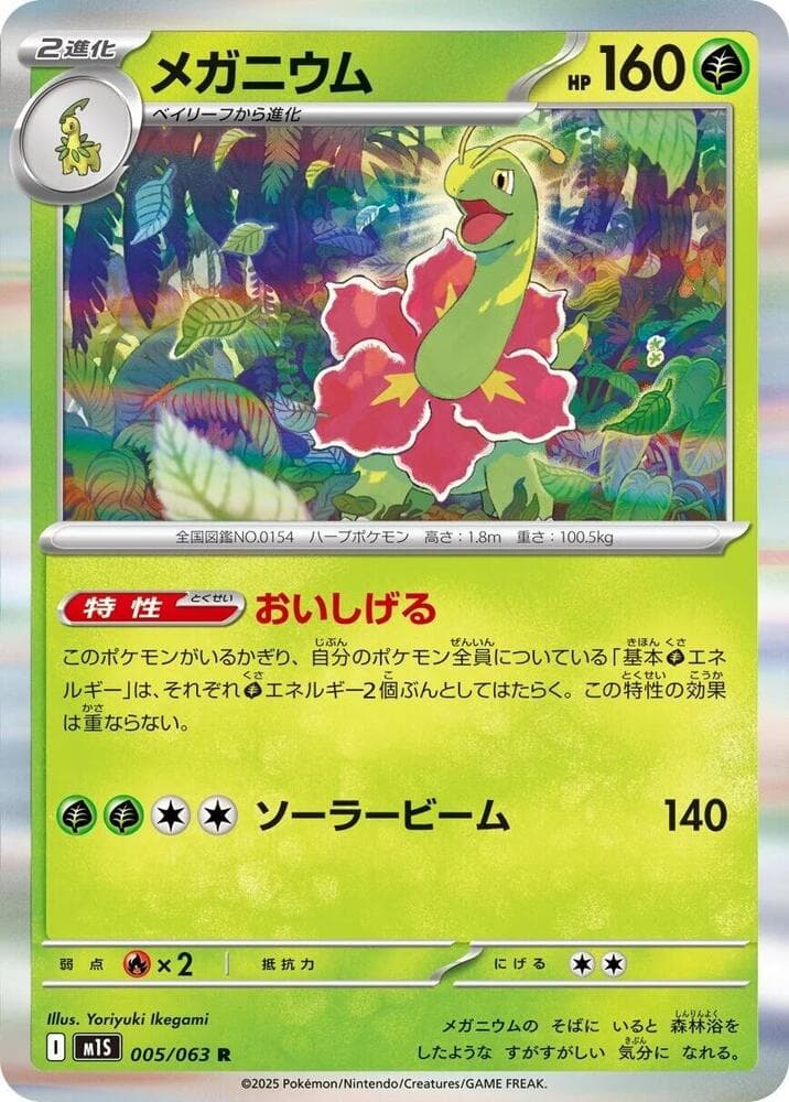 Meganium 005