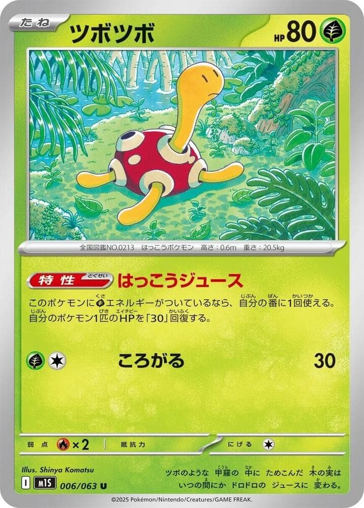 Shuckle 006 Normal