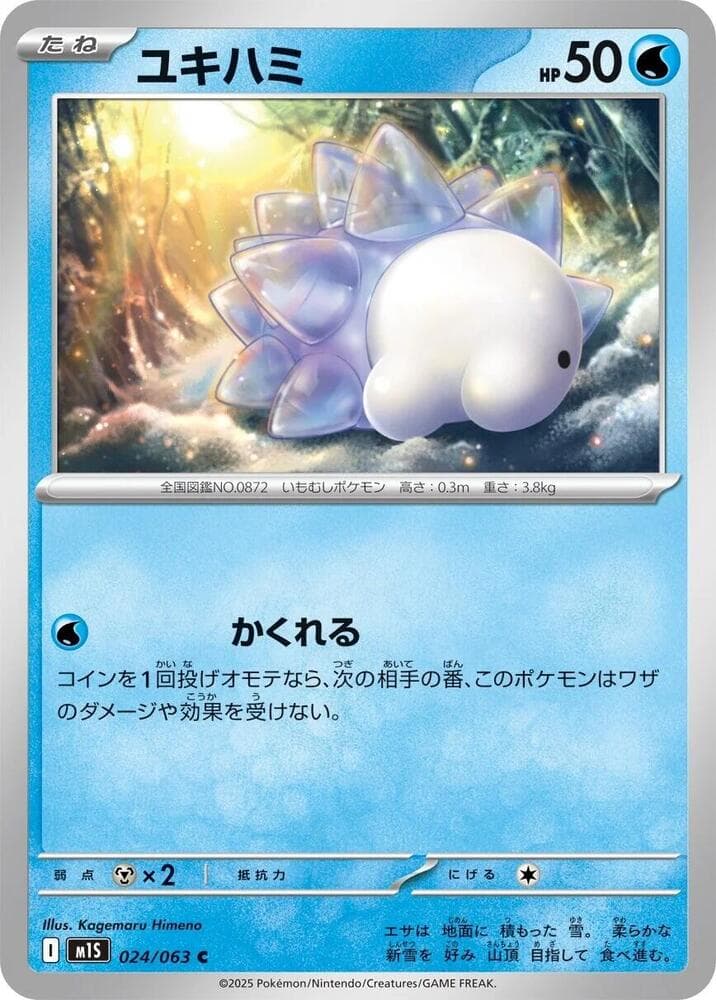 Snom 024