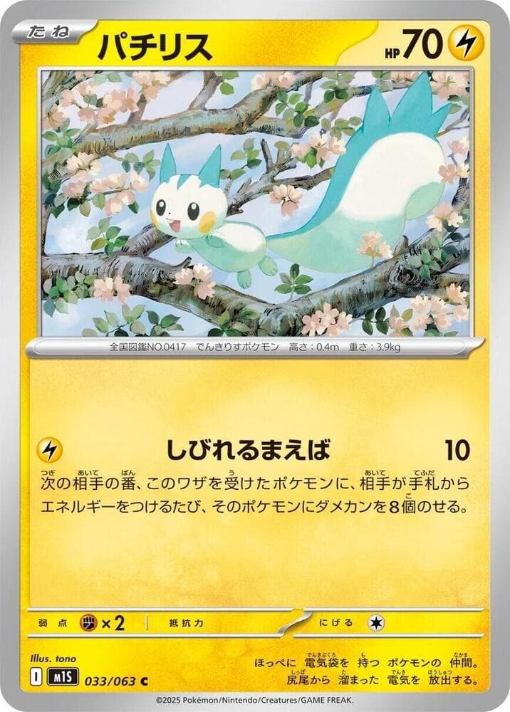 Pachirisu 033