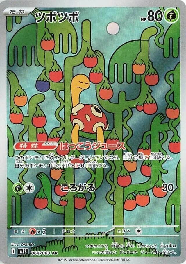 Shuckle 064 Normal