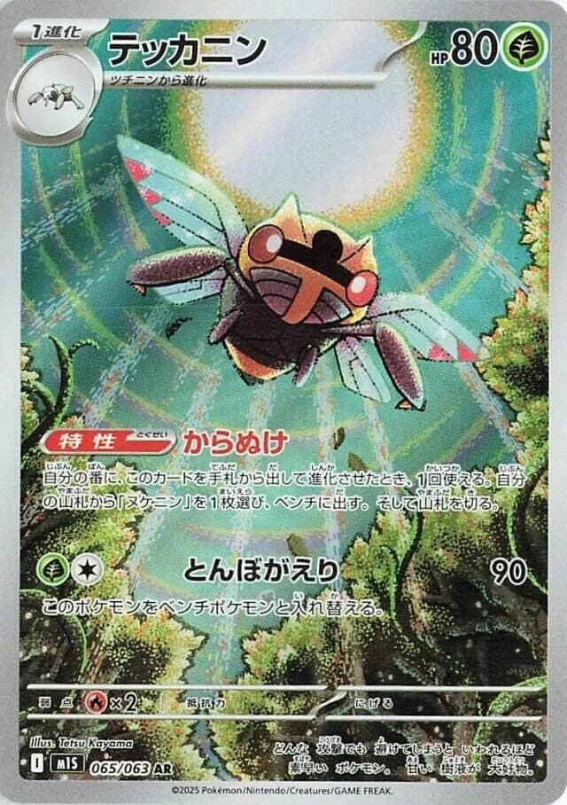 Ninjask 065