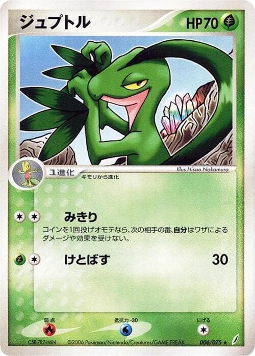 Grovyle 006 1st Edition