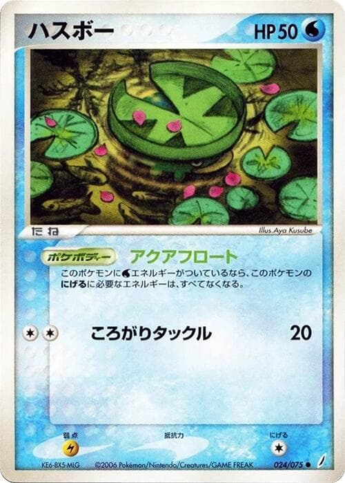 Lotad 024