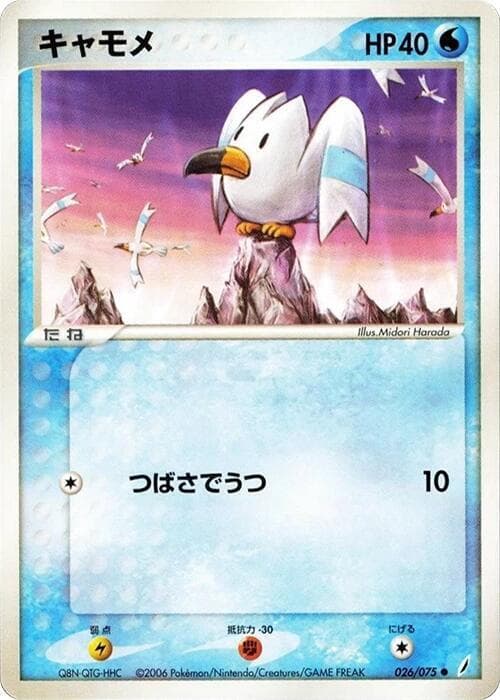 Wingull 26